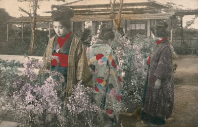 Japonki z glicyniami (kolorowe zdjęcie) autorstwa Photographer Japanese