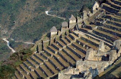 Tarasy, Machu Picchu (lista światowego dziedzictwa UNESCO) autorstwa Blaise Nicolas Le Sueur