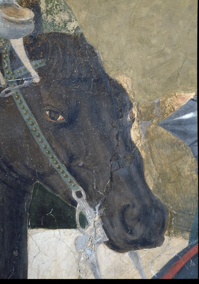 Legenda o prawdziwym krzyżu, zwycięstwo Konstantyna w bitwie pod mostem Mulwijskim, fragment głowy konia, ukończony fresk z 1464 r. patrz także 116343 autorstwa Piero della Francesca