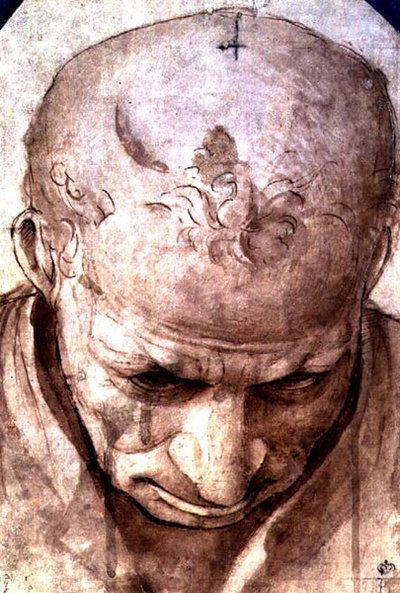 Głowa starszego mężczyzny (długopis, brązowy tusz i pranie) autorstwa Piero di Cosimo