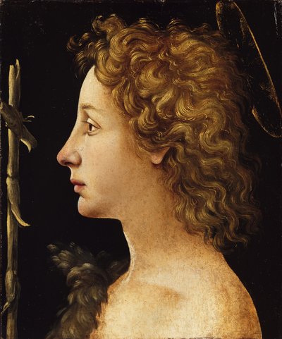 Młody św. Jan Chrzciciel (tempera i olej na drewnie) autorstwa Piero di Cosimo