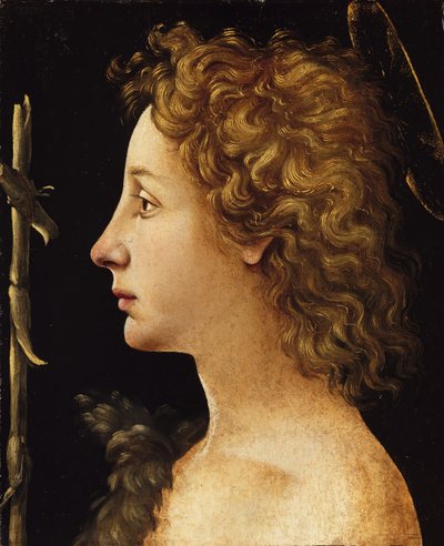 Młody św. Jan Chrzciciel, ca. 1480-82. autorstwa Piero di Cosimo