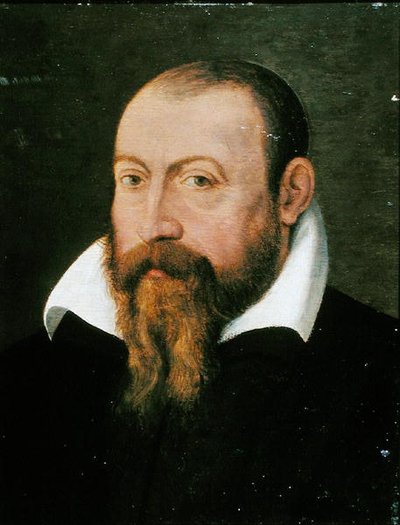 Jacques Dalechamps (1513-88) (olej na panelu) autorstwa Pierre (attr. to) Eskrich