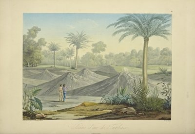 Air Volcanoes of Turbaco, grawerowane przez Bouquet, ilustracja z „Widoki kordylierów i pomników rdzennych ludów Ameryki” autorstwa Alexandra von Humboldta i Aime Bonplanda autorstwa Pierre Antoine (after) Marchais