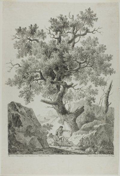 Artysta w skalistym krajobrazie autorstwa Pierre Antoine Mongin