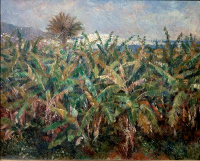 Pole bananowe autorstwa Pierre-Auguste Renoir