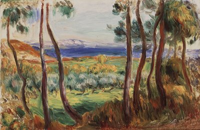 Sosny wokół Cagnes, ok. 1910. autorstwa Pierre Auguste Renoir