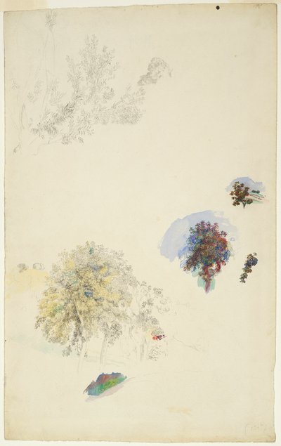 Badania drzew i liści autorstwa Pierre Auguste Renoir