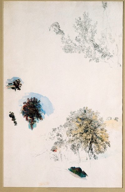 Badania drzew autorstwa Pierre Auguste Renoir
