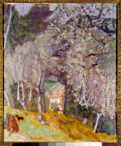 Dom na Oliwkach autorstwa Pierre Bonnard