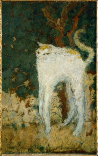 Biały kot autorstwa Pierre Bonnard