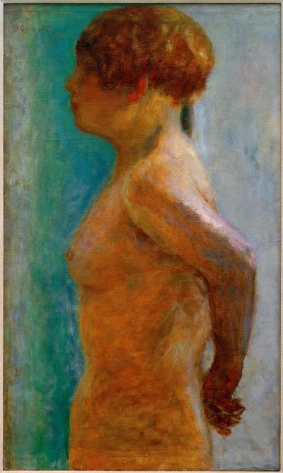 Kobiecy tors w profilu autorstwa Pierre Bonnard