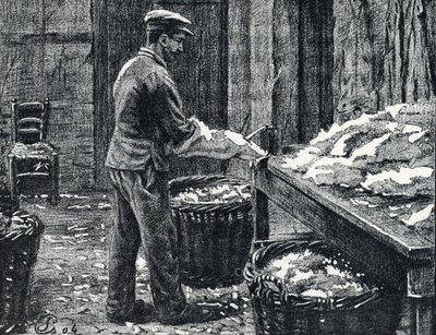 Skóra: dzielenie skór króliczych w celu wytworzenia skóry Rycina z „Excursion a travers les metiers” autorstwa Pierre Calmette Private Collection autorstwa Pierre Calmettes