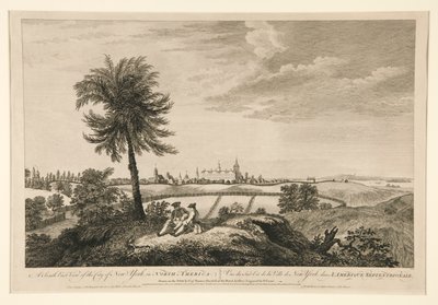 Południowo-wschodni widok miasta Nowy Jork w Ameryce Północnej autorstwa Pierre Charles Canot
