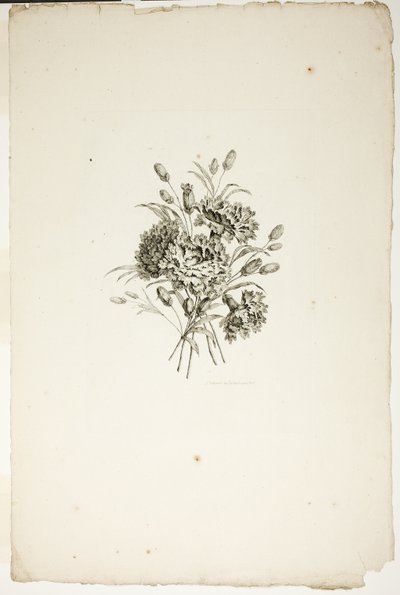 Bukiet z goździkami, z kolekcji różnych bukietów kwiatów, wymyślony i narysowany przez Jeana Pillementa i grawerowany przez P.C. Canota autorstwa Pierre Charles Canot