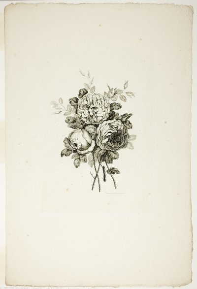 Bukiet z różami, z kolekcji różnych bukietów kwiatów, wymyślony i narysowany przez Jeana Pillementa i grawerowany przez P. C. Canota autorstwa Pierre Charles Canot