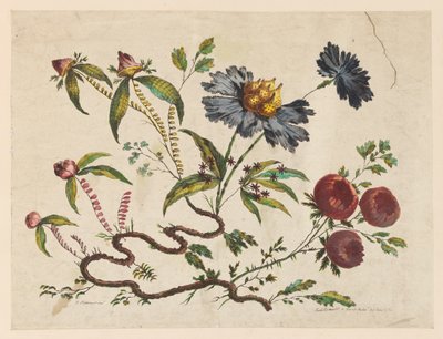 Druk, Konary kwiatów, z "Recueil de Differentes Fleurs de Fantaisie Dans le Goût Chinois". autorstwa Pierre Charles Canot
