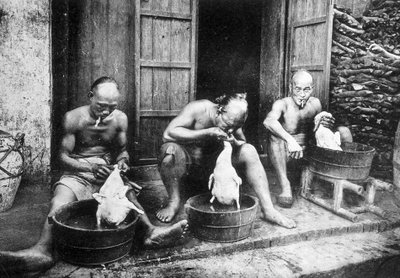 Chińskie kacze pióra, „Sajgon i okolice”, fot. Dieulefils, c. 1900. autorstwa Pierre Dieulefils