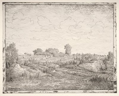 Równina Roślin w Biau. autorstwa Pierre Etienne Theodore Rousseau
