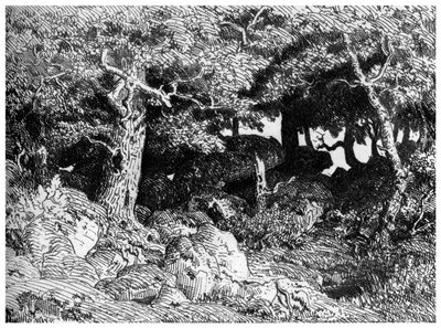 Chenes de Roche, ok. 1832-1860, 1924 r autorstwa Pierre Etienne Theodore Rousseau