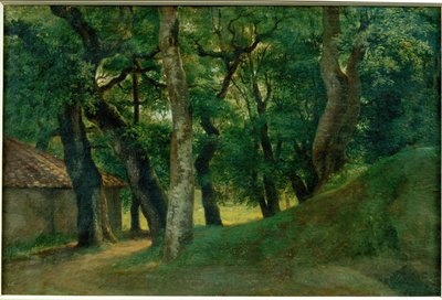 Foret de la Villa Borghese - Las Willi Borghese ... autorstwa Pierre Henri de Valenciennes