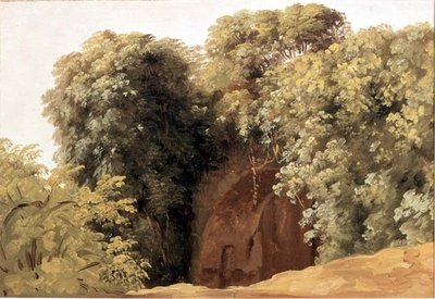 Ruiny arkady z kępami trawy autorstwa Pierre Henri de Valenciennes