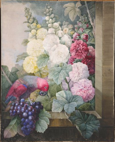 Malwy, winogrona i papuga, 1836 r. autorstwa Pierre Joseph Redouté