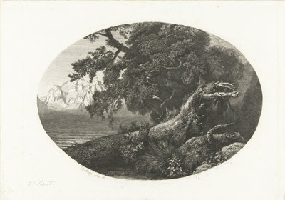 Wyrwany pień drzewa na wybrzeżu autorstwa Pierre Louis Dubourcq