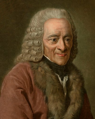Portret Woltera autorstwa Pierre Michel Alix