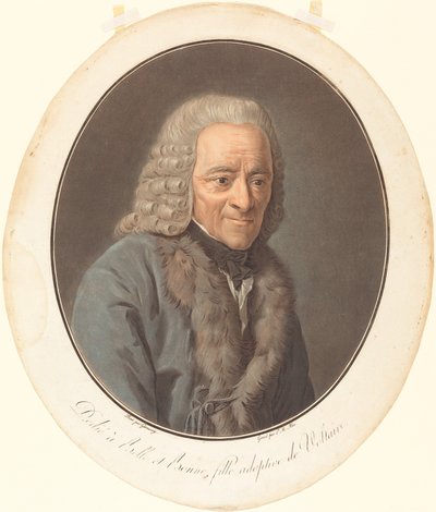 Wolter autorstwa Pierre Michel Alix