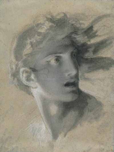 Głowa zemsty autorstwa Pierre Paul Prud