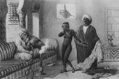 Młoda dziewczyna z Timbuktoo ofiarowana przez mistrza niewolników w Trypolisie w 1854 r., z „Voyages au Soudan et dans L”Afrique Septentrionale”, ryt. A. Adam, 1850 autorstwa Pierre Tremaux