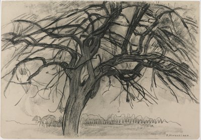 Studium wstępne na wieczór: Czerwone drzewo, 1908 (czarna kredka i węgiel na papierze) autorstwa Piet Mondrian