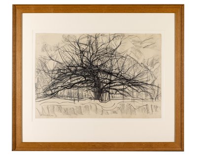 Studium do Szarego Drzewa, 1911 (czarna kredka na papierze) autorstwa Piet Mondrian