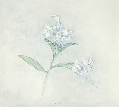 Dwie japońskie lilie; Dwie japońskie lilie autorstwa Piet Mondrian