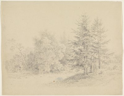 Widok na las z sosnami autorstwa Pieter Bartholomeusz. Barbiers
