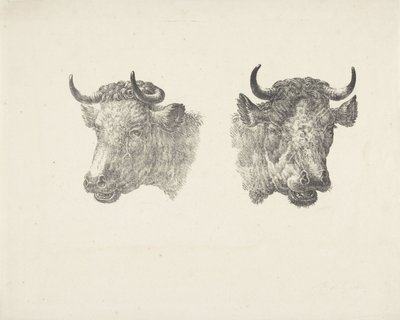Dwie głowy byka autorstwa Pieter Bartholomeusz. Barbiers