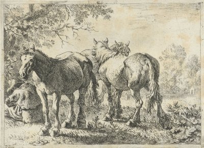 Trzy konie i rolnik Różne zwierzęta (tytuł serii) autorstwa Pieter Bodding van Laer