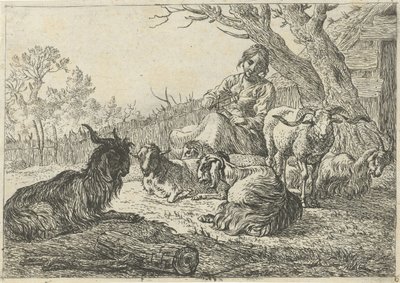 Pasterka pośród kóz i owiec! Różne zwierzęta (tytuł serii) autorstwa Pieter Bodding van Laer