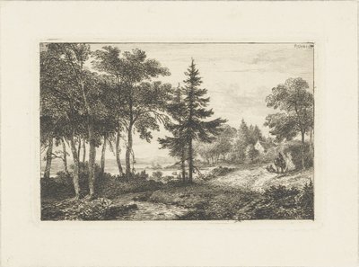 Krajobraz z sosną i jeźdźcem Pejzaże wodne (tytuł serii) autorstwa Pieter Casper Christ