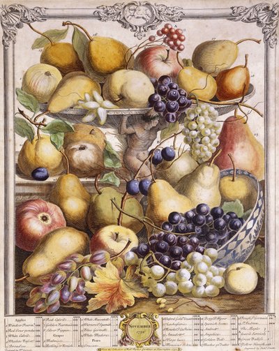 Listopad 1732, sezonowe jabłka, gruszki, winogrona itp., 1732 autorstwa Pieter Casteels