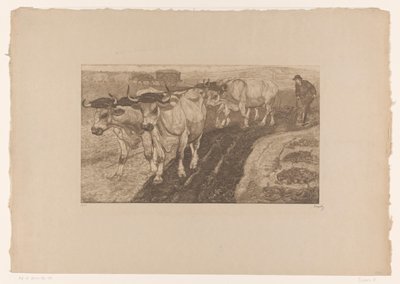 Orka Wołów autorstwa Pieter Dupont (signed by artist)