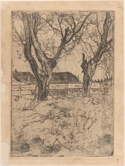 Dwie wierzby głuchy na ogrodzenie autorstwa Pieter Dupont (signed by artist)
