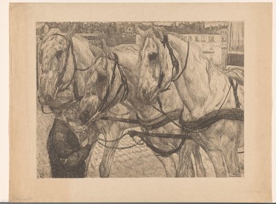 Stabilny chłopiec (oryginalny tytuł na obiekcie) The Hitch (oryginalny tytuł serii na obiekcie) autorstwa Pieter Dupont