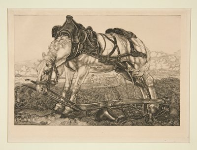Koń roboczy autorstwa Pieter Dupont