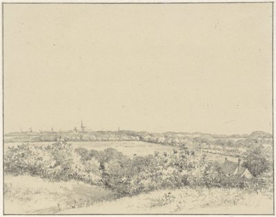 Widok na Haarlem, widziany z wydm autorstwa Pieter Ernst Hendrik Praetorius
