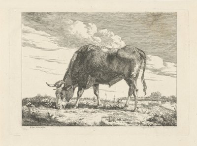 pasąca się krowa autorstwa Pieter Gerardus van Os