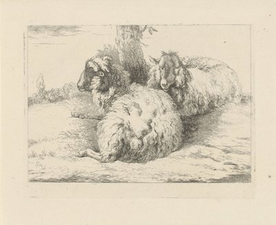 leżące owce Owce i kozy (tytuł serii) autorstwa Pieter Gerardus van Os