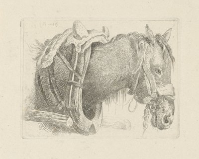 Studium głowy konia autorstwa Pieter Gerardus van Os