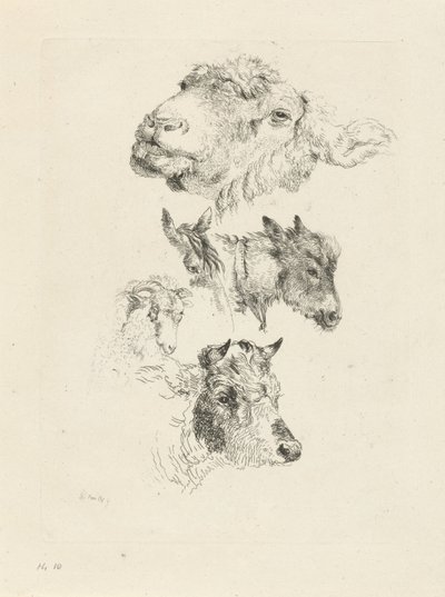Arkusz do nauki z głowami owiec, koni, osłów, baranów i byków autorstwa Pieter Gerardus van Os